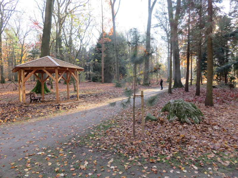 Geografisches Arboretum Rombergpark am 17,102018 (13)